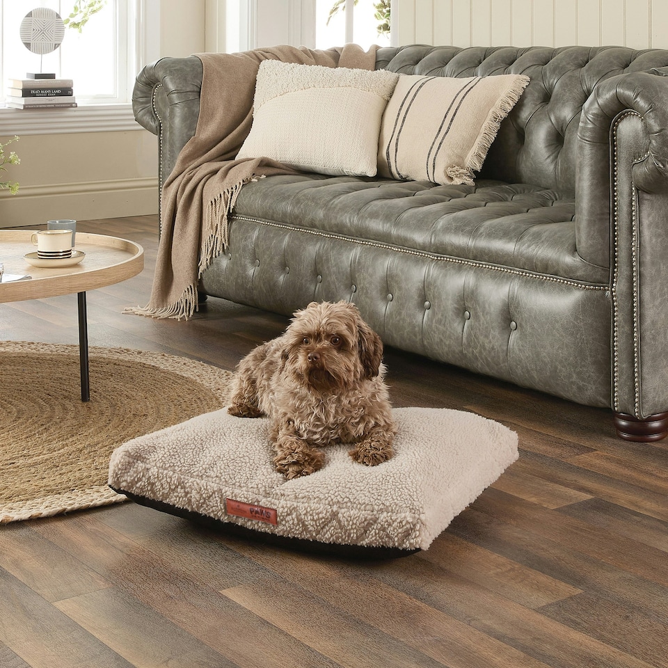 image 1 of Paws for Slumber Sherpa Pet Bed, Small | Cream | S