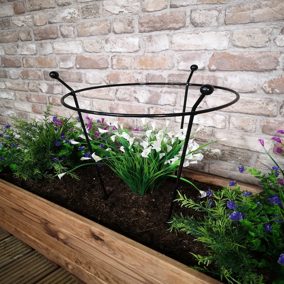 image 1 of 4 Pack of Small 60cm x 35cm Heavy Duty Black Steel Herbaceous Garden Plant Support Ring