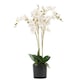 image 1 of Artificial Orchid Flower in Pot 60cm White