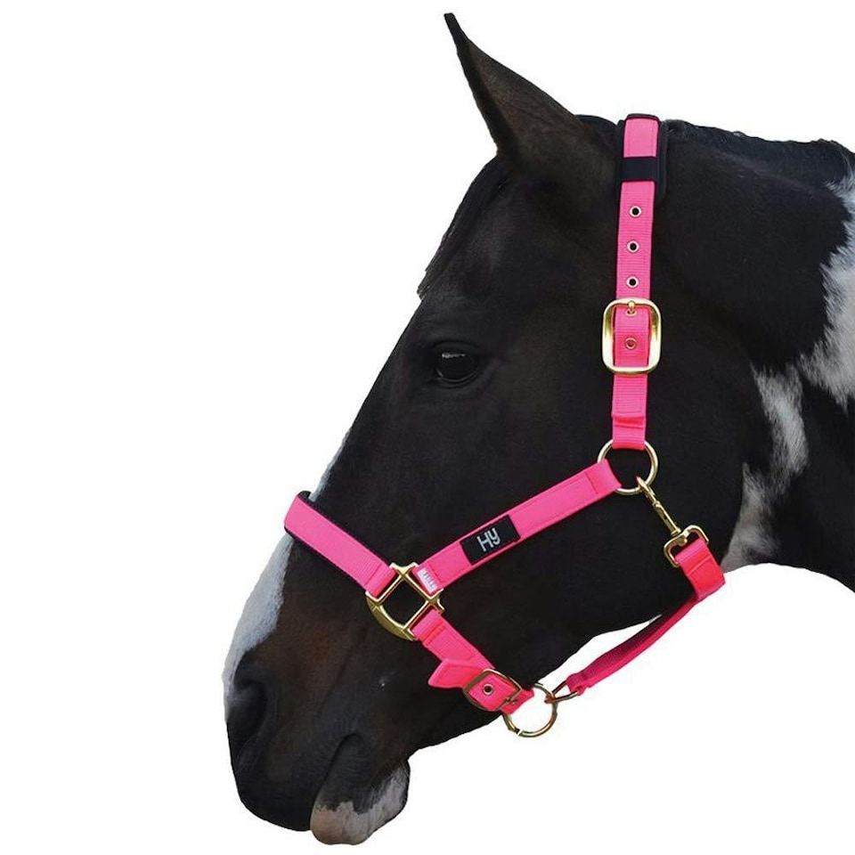 Hy Deluxe Padded Head Collar - Hot Pink - XS