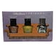image 1 of Miracle Gel Sally Hansen Friends Edition Colours and Top Coat Stick to Routine, Yellow Taxi, Top Coat Sally Hansen N/A