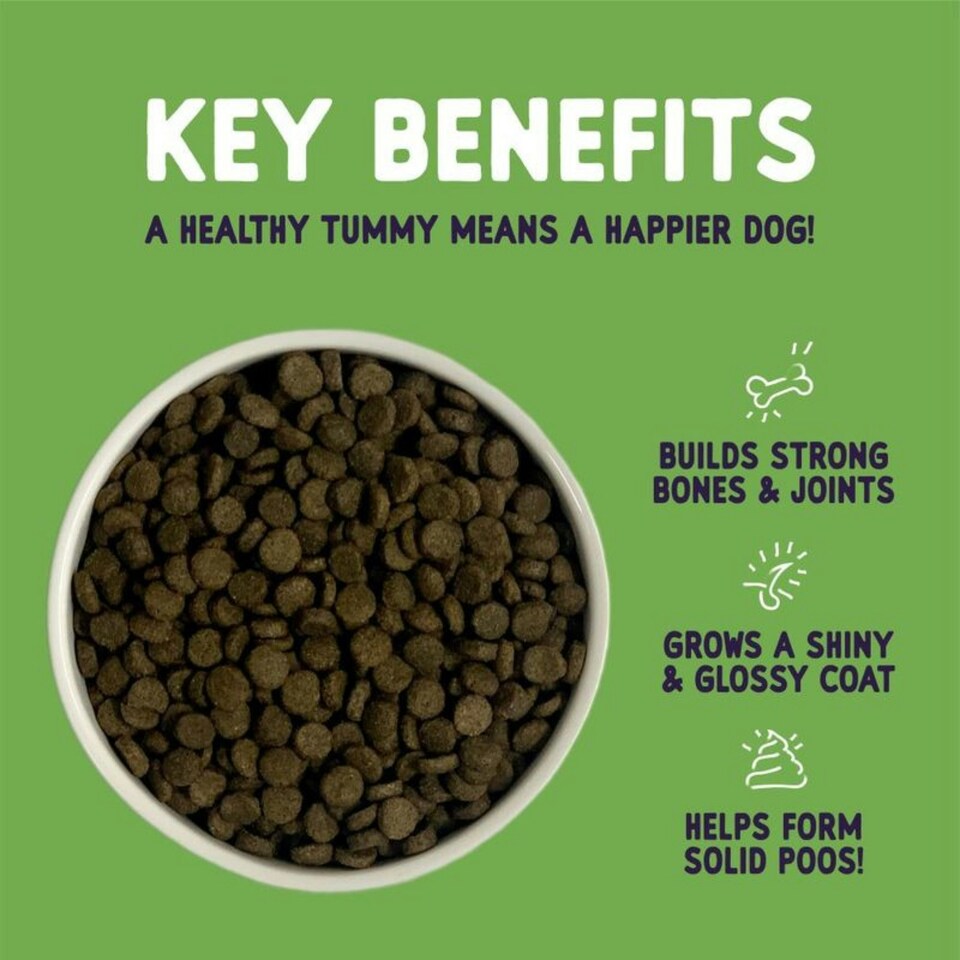 image 1 of Burgess Sensitive Adult Dog Lamb - 12.5KG