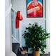 image 2 of 90cm Artificial Ficus Tree / Plant - Large Bushy Shape | Green | 3ft