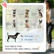 image 3 of PawHut Pet Stroller Foldable Travel Carriage w/ Brake Basket Canopy, Black