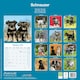 image 2 of Schnauzer 2026 Calendar | Square Wall Calendar | Dog Breed Gift | Plastic Free Packaging | by Avonside Publishing