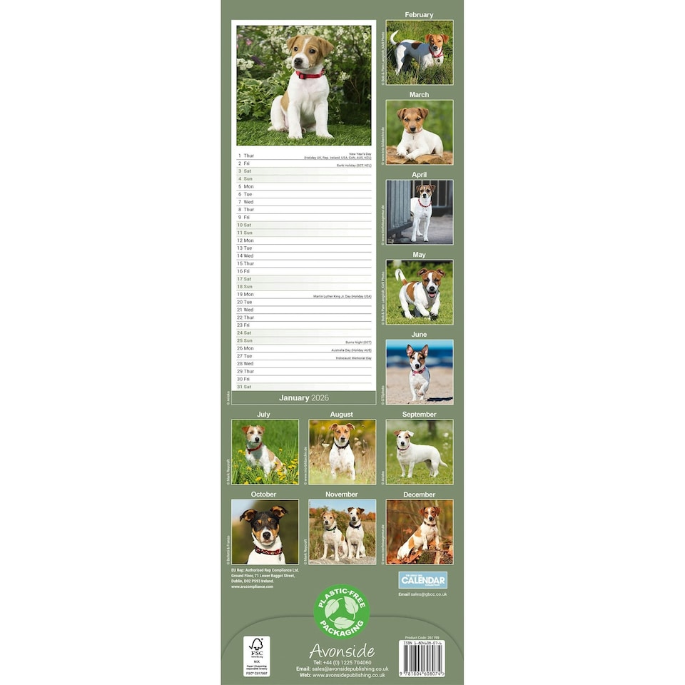 image 1 of Jack Russell Slim 2026 Calendar | Slimline Wall Calendar | Dog Breed Gift | Plastic Free Packaging | by Avonside Publishing [Calendar] Avonside Publishing Ltd