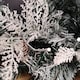 image 6 of 1.8m Snowy Christmas Garland with Pinecones 96 Tips and 50 Warm White LED Lights