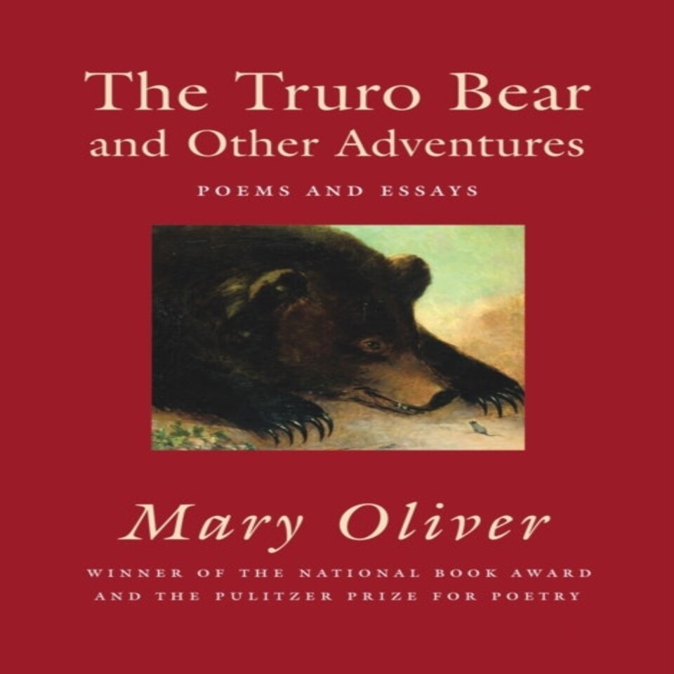 The Truro Bear And Other Adventures