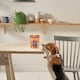 image 9 of Meaty Nibbles Chicken & Liver Dog Treats (4x70g)