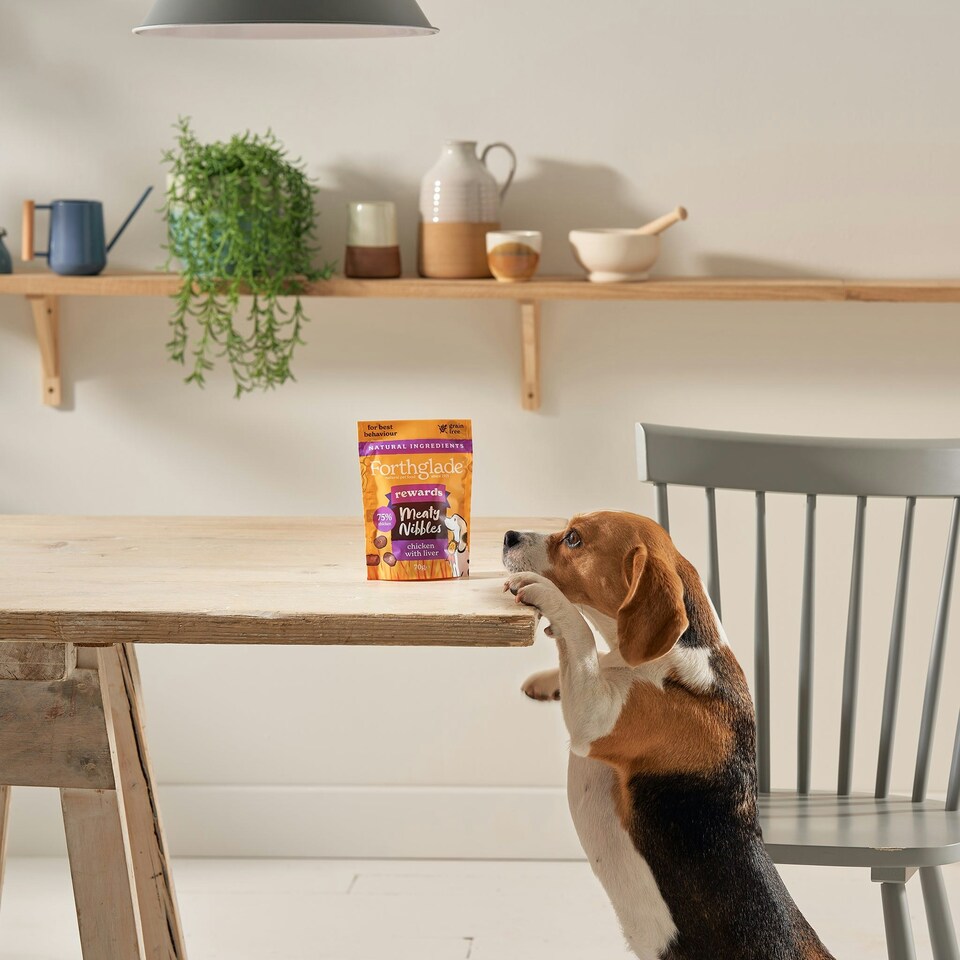 image 1 of Meaty Nibbles Chicken & Liver Dog Treats (4x70g)