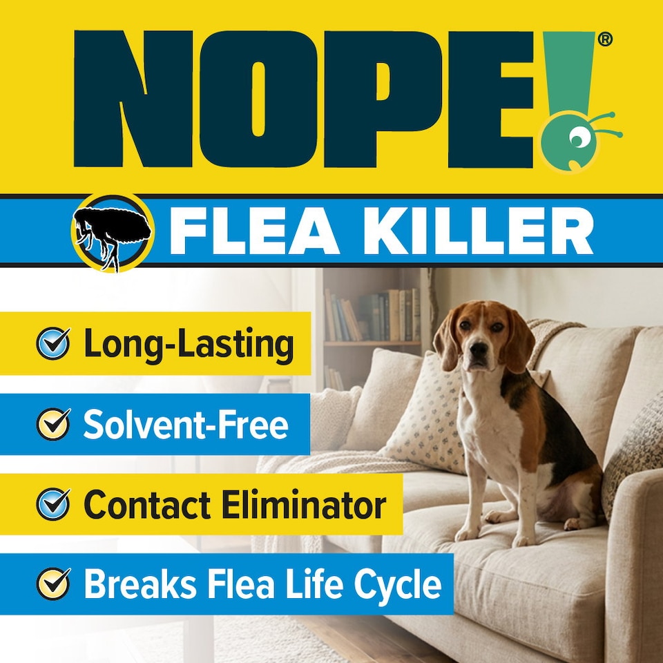 image 1 of NOPE Flea Spray for The Home (2 x 5L Sprayer) Fast-Acting, Odourless & Non-Staining. Indoor and Outdoor Flea Killer