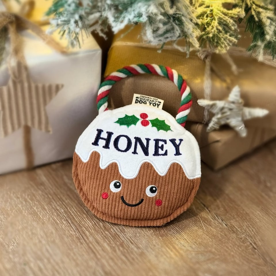 image 1 of Pre-personalised Christmas Dog Toy Gift - Over 80 Titles - Honey