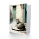 image 2 of Sunbathing Cobblestone Street Cat Birthday Card