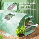 image 5 of Outsunny PE Mini Greenhouse, 3 M Portable Tunnel Green House w 5 Mesh Windows