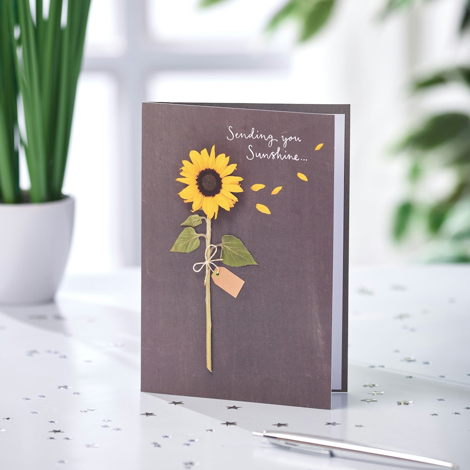image 1 of Open Card - Sending You Sunshine - Sunflower