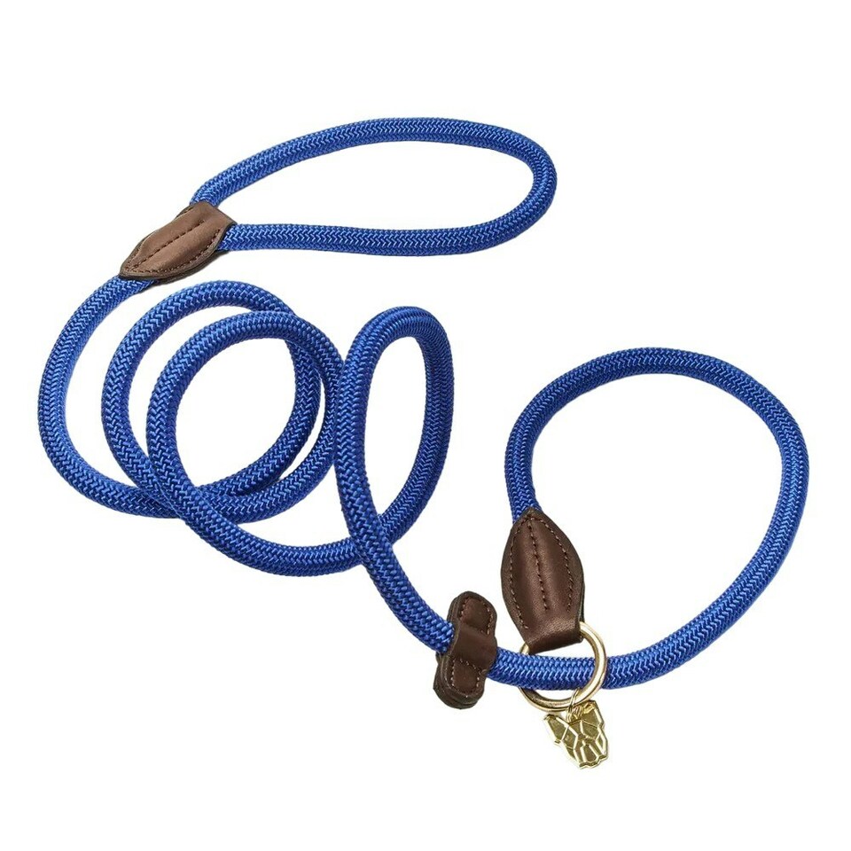 Digby & Fox Leather Dog Slip Lead - Blue - One Size