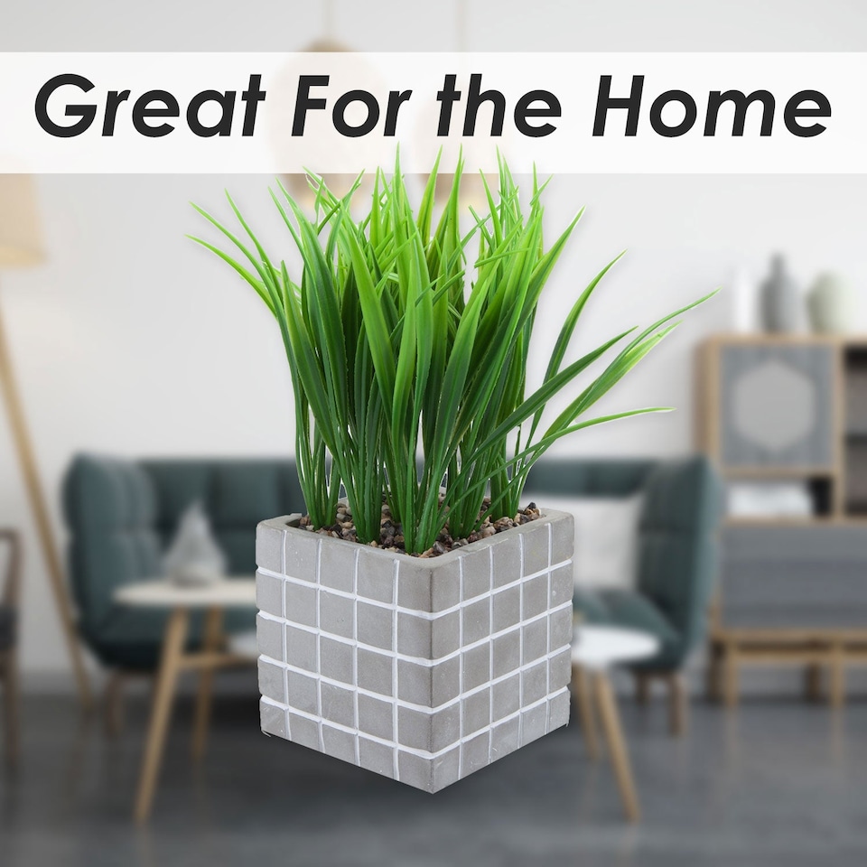 image 1 of PMS Artificial Succulent in Grey Cement Pot - 22 x 11 cm
