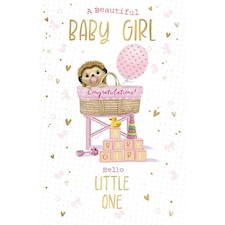 Words 'n' Wishes Traditional Beautiful Baby Girl Birth Card, Hedgehog Pink Design, Gold Foil Finish