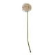 image 3 of Hill Interiors Allium Stem Artificial Plant - Lilac - 80cm