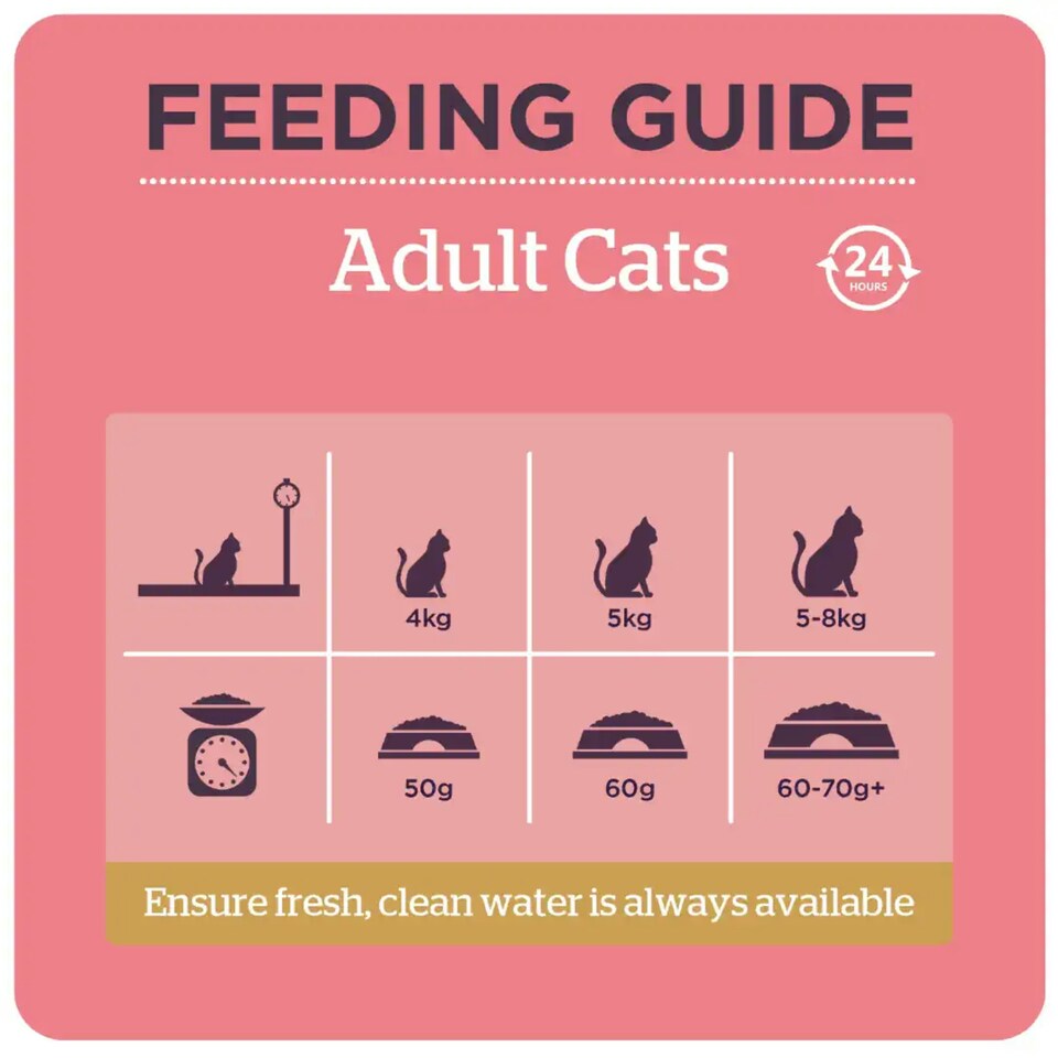 image 1 of Burgess Adult Cat Chicken And Duck - 1.5KG