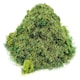 image 1 of Gaugemaster Scenics Forest Floor 2.5mm Static Grass 30g (GM179)