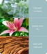 image 3 of Essential Oil Blend - Botanical Breeze | Brown