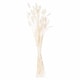 image 2 of Dried Bunny Tail Bunch of 60 Artificial Plant - H60 cm - White