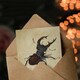 image 3 of Albrecht Durer Art Card Stag Beetle Nature Study Painting