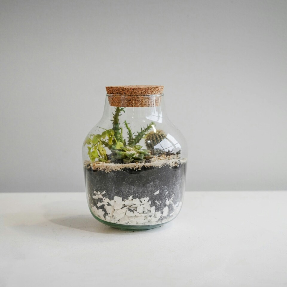 image 1 of Angluar Glass Small Terrarium DIY Kit Clear