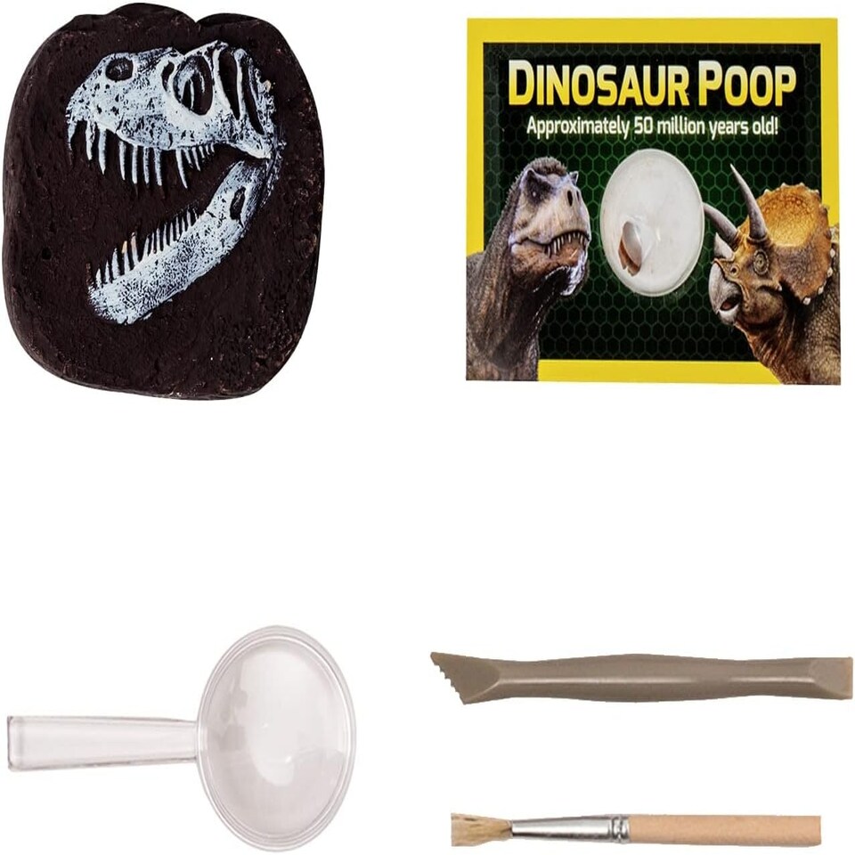image 1 of National geographic dinosaur dig kit
