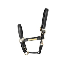 Hy Leather Head Collar - Black - Full
