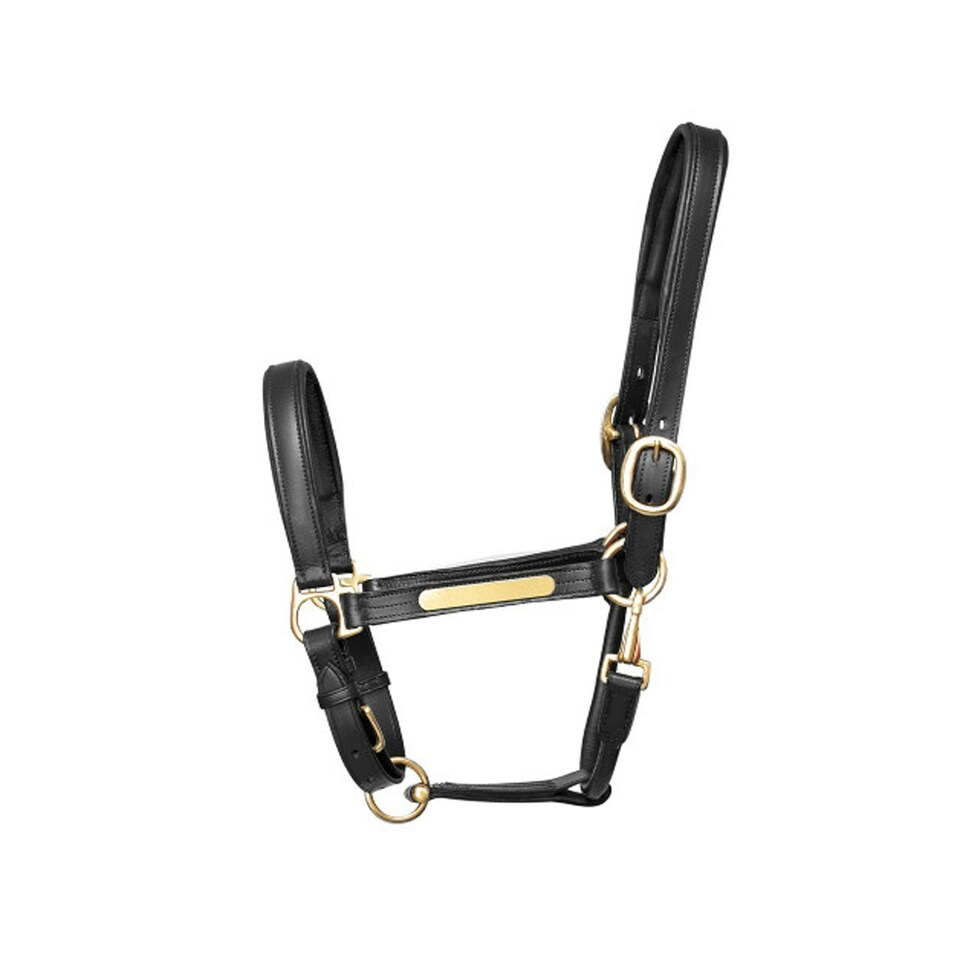 image 1 of Hy Leather Head Collar - Black - Full