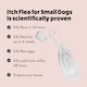 image 4 of Itch Flea Small Dog Flea & Tick Spot On Treatment 2 Pipette (2-10kg)