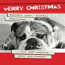 Another Year Another Christmas... - Funny Christmas Card