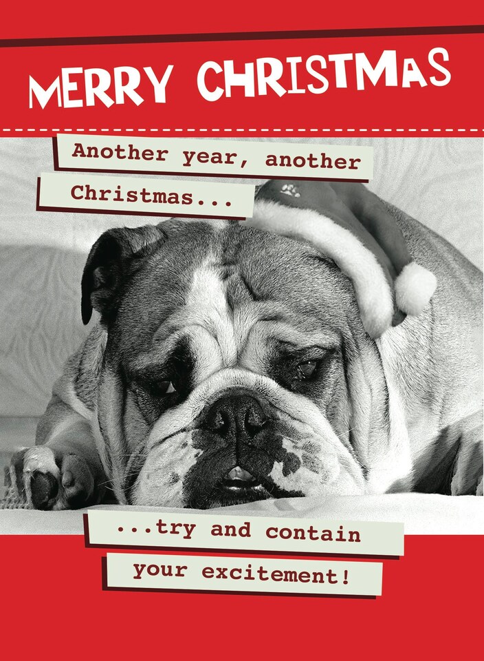 image 1 of Another Year Another Christmas... - Funny Christmas Card