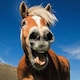 image 3 of Ani'mates 3D Holographic Card Horse