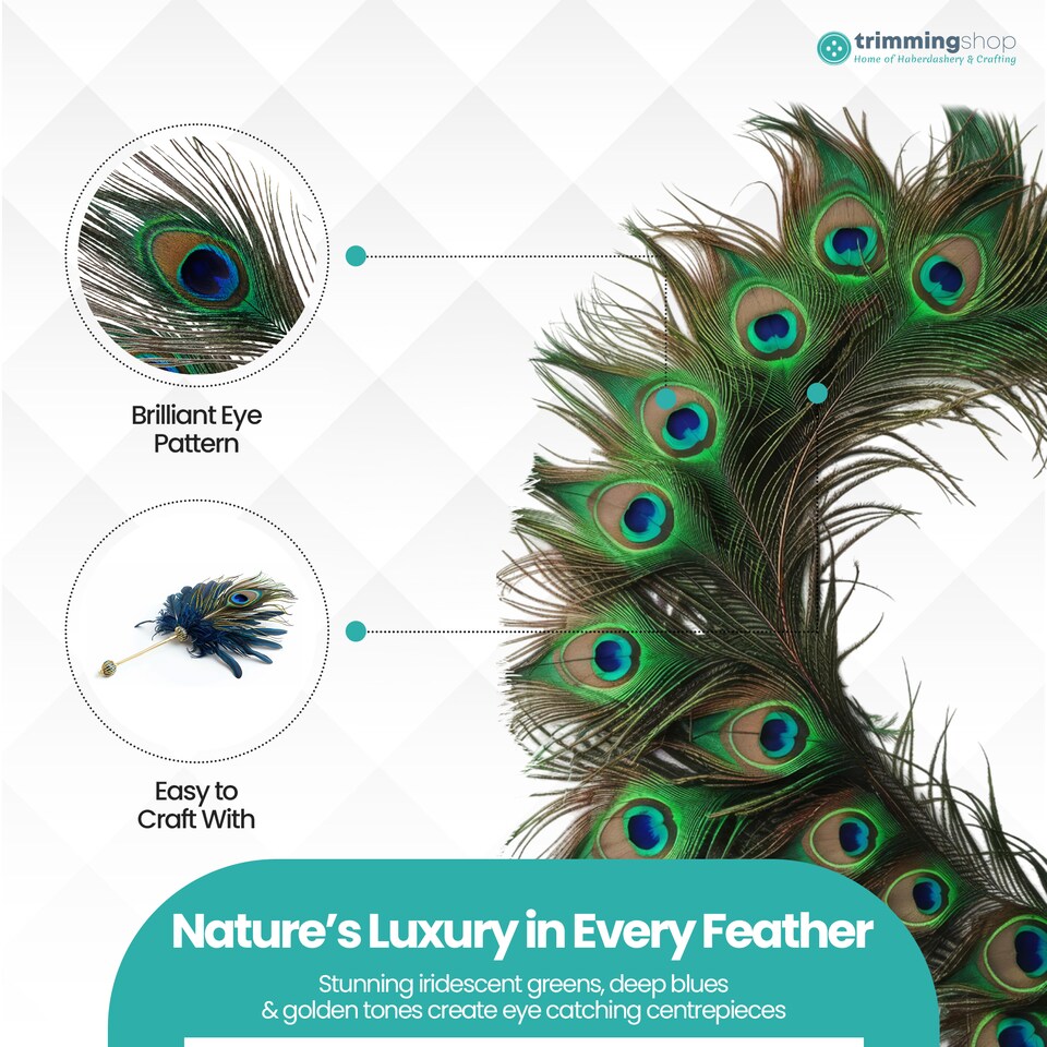 image 1 of Trimming Shop Real Peacock Feather, 15" - 18" Inch - 25pcs