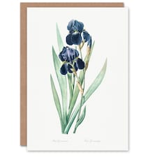 Pierre-Joseph Redouté Art Card Bearded Iris Vintage Botanical