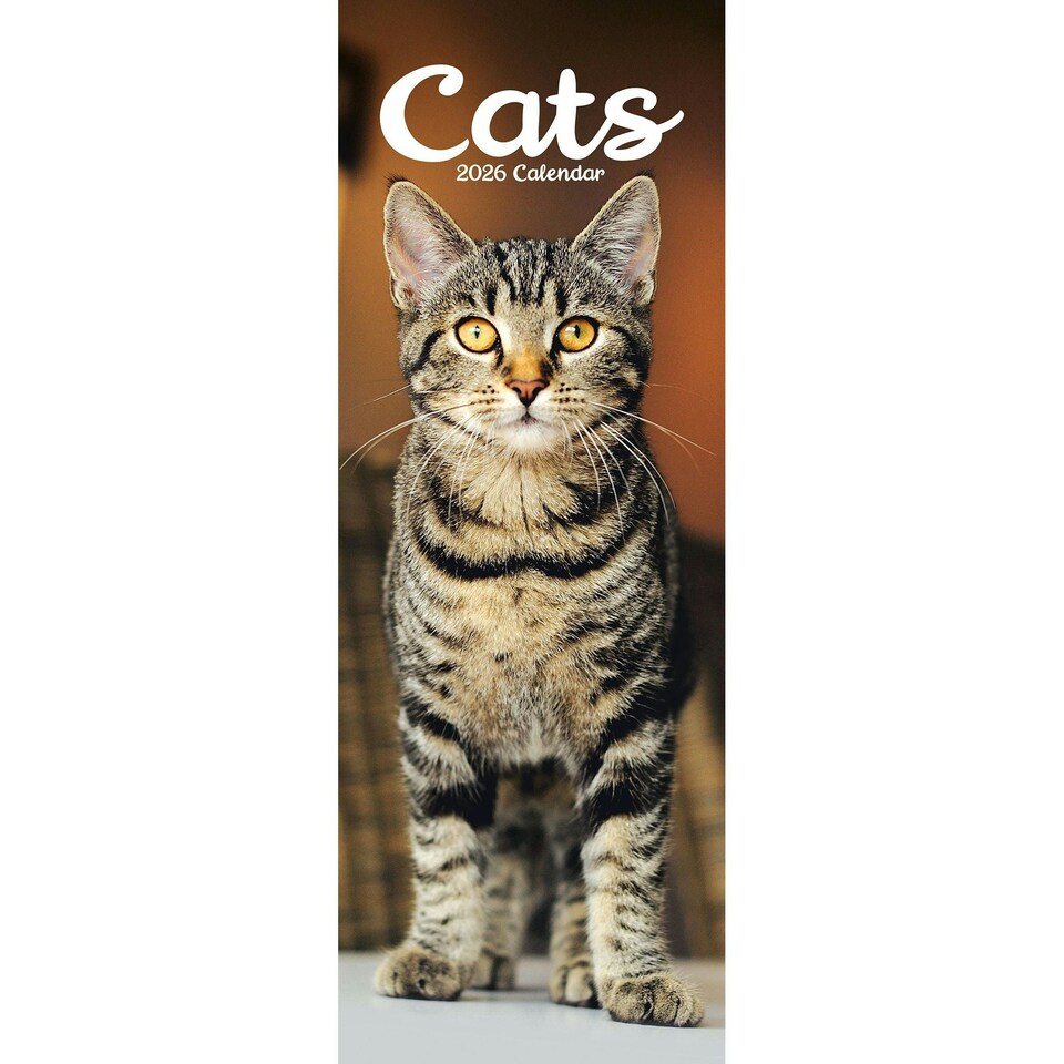 image 1 of Cats Slim 2026 Calendar | Slimline Wall Calendar | Cat Gift | Plastic Free Packaging | by Avonside Publishing [Calendar] Avonside Publishing Ltd