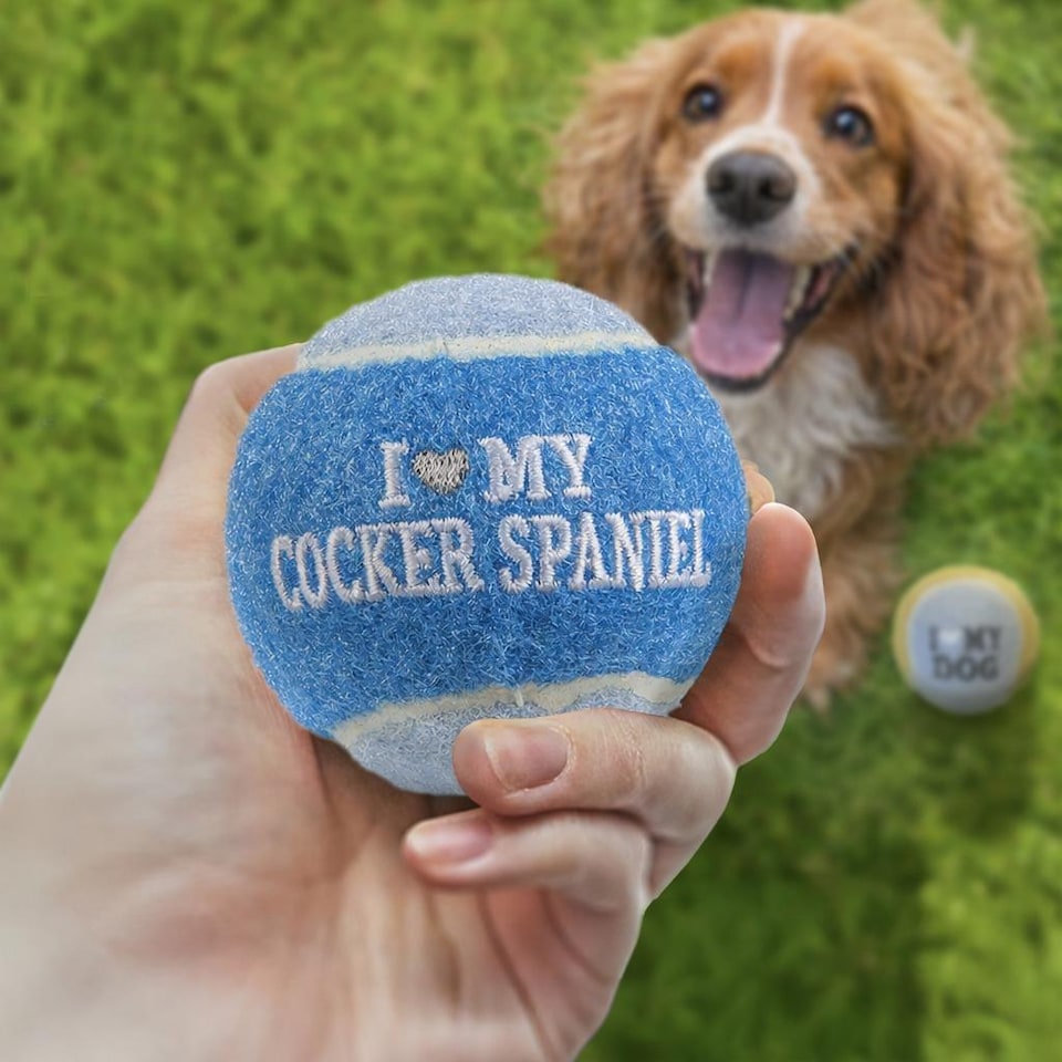 image 1 of Pre-Personalised Dog Balls Gift Pack 2pcs Blue I Love My Cocker Spaniel