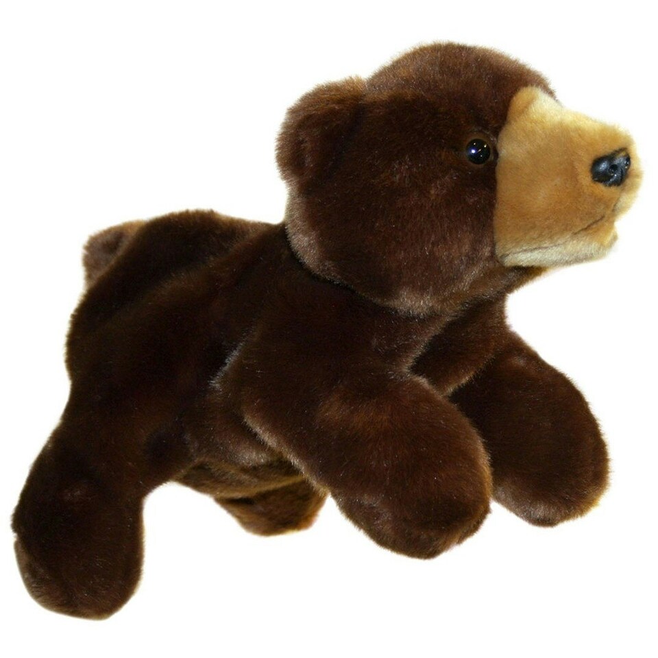 image 1 of Bear - Full-Bodied