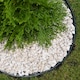 image 1 of Pack of 5 x 1m Flexible Garden Edging with Included Pins in Black Black