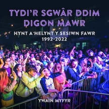 Tydir Sgwr Ddim Digon Mawr Hynt A Helynt
