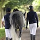 image 1 of Shires Aubrion Core Fleece Gilet - Gents Blue | Size: XX-Large
Colour: Navy