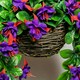 image 3 of Primrose Artificial Fuchsia Flowers with Rattan Hanging Basket in Purple 25cm