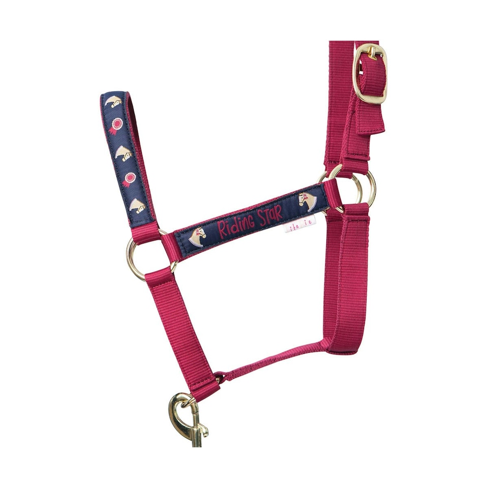 image 1 of Little Rider Riding Star Collection Horse Headcollar and Leadrope - Navy/Burgundy - Small Pony