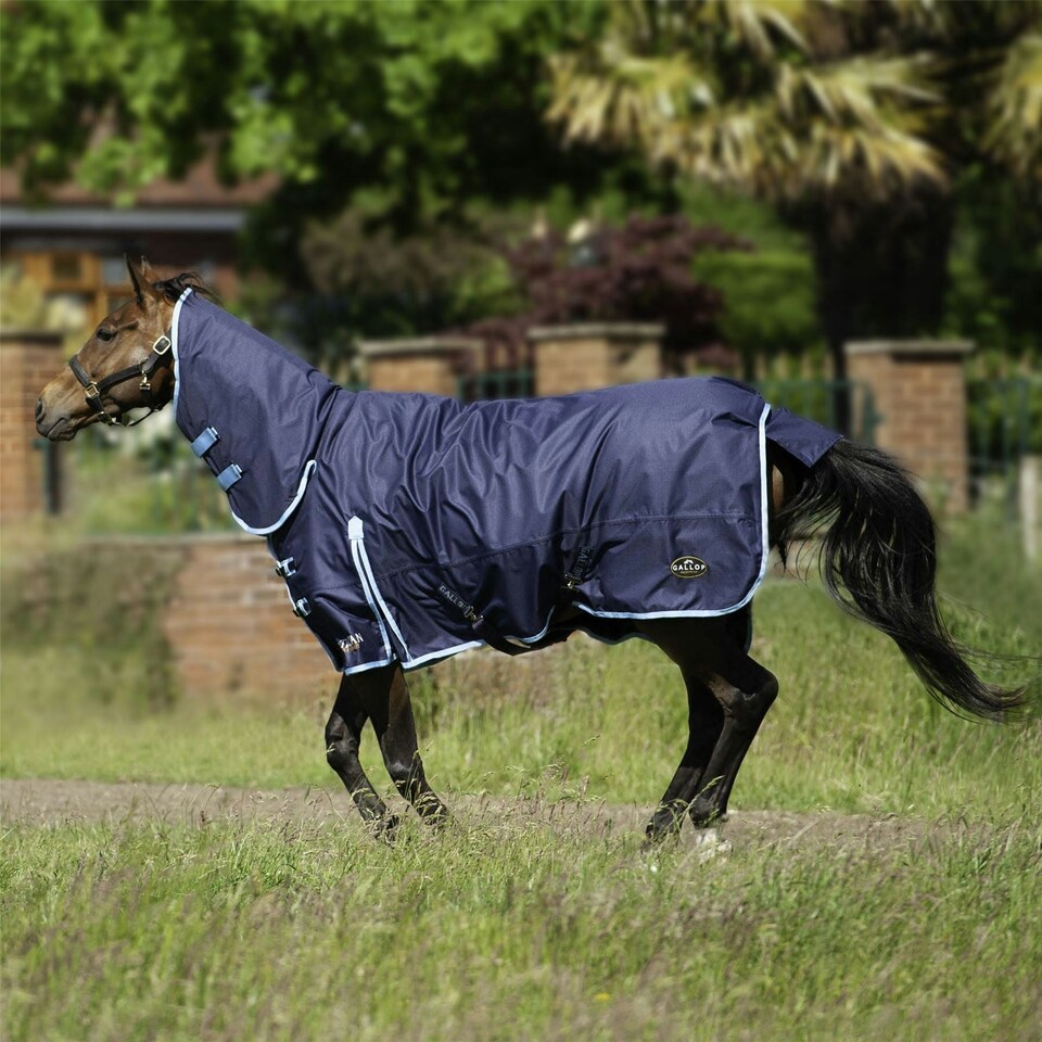 image 1 of Gallop Equestrian Trojan 350 Combo Turnout Brown | Size: 5ft 6
Colour: Navy/Sky Blue