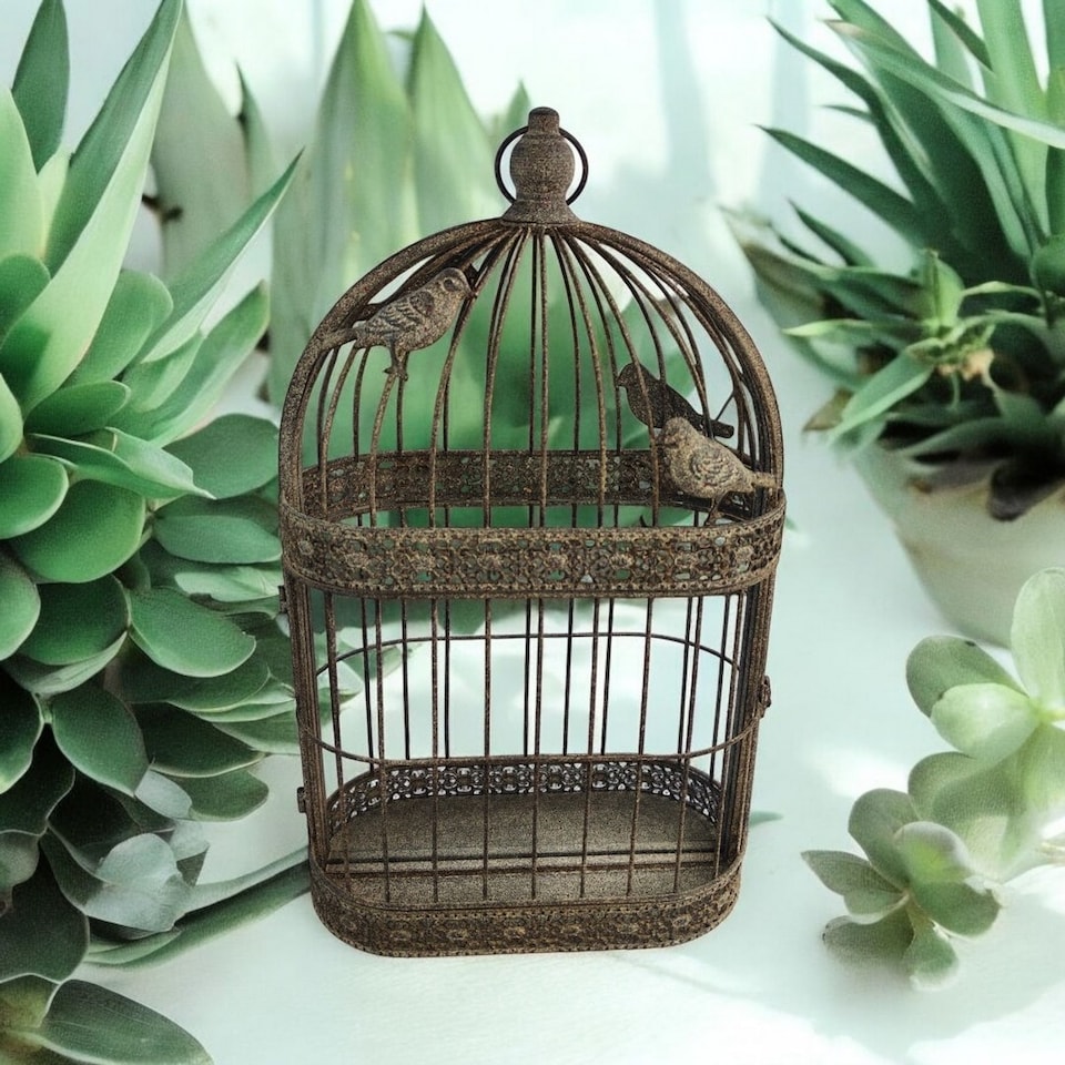 image 1 of Garden Mirror Cage - Metal - L10 x W34 x H60 cm