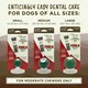 image 4 of Tropiclean Enticers Dental Ball Kit for Large Dogs Smoked Beef Brisket Flavour
