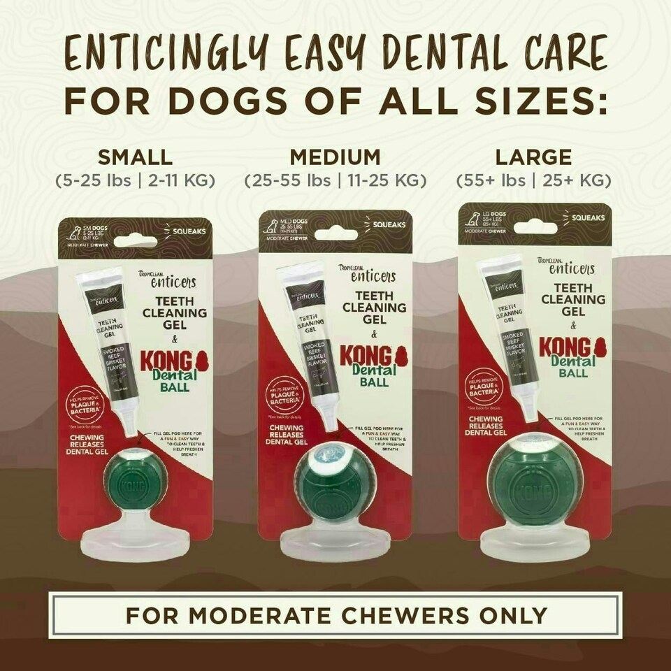 image 1 of Tropiclean Enticers Dental Ball Kit for Large Dogs Smoked Beef Brisket Flavour
